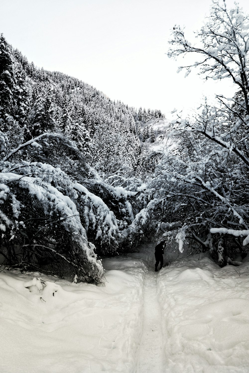 a person walking through a snow covered forest