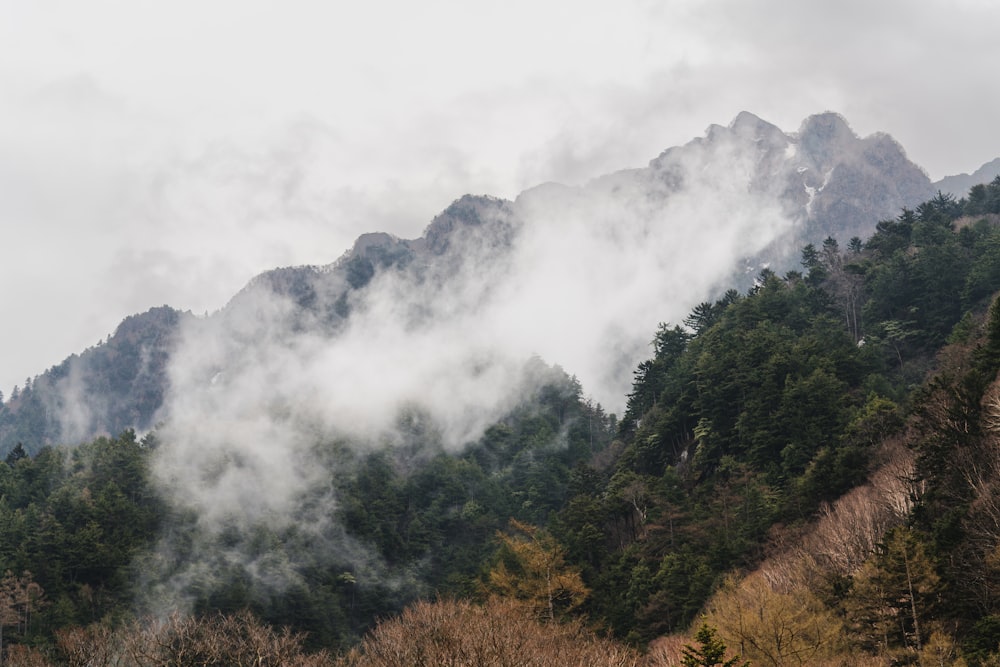Una montagna coperta di nuvole e alberi in una giornata nuvolosa