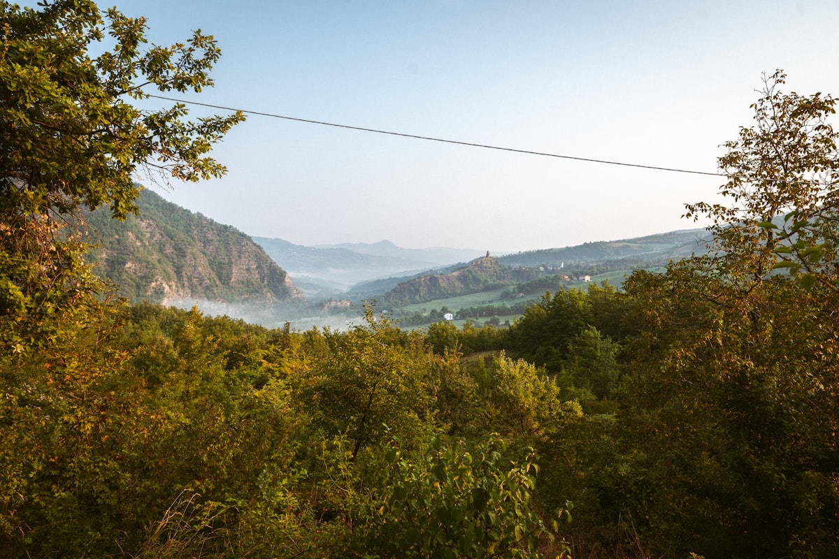 Zip-lining in the treetops