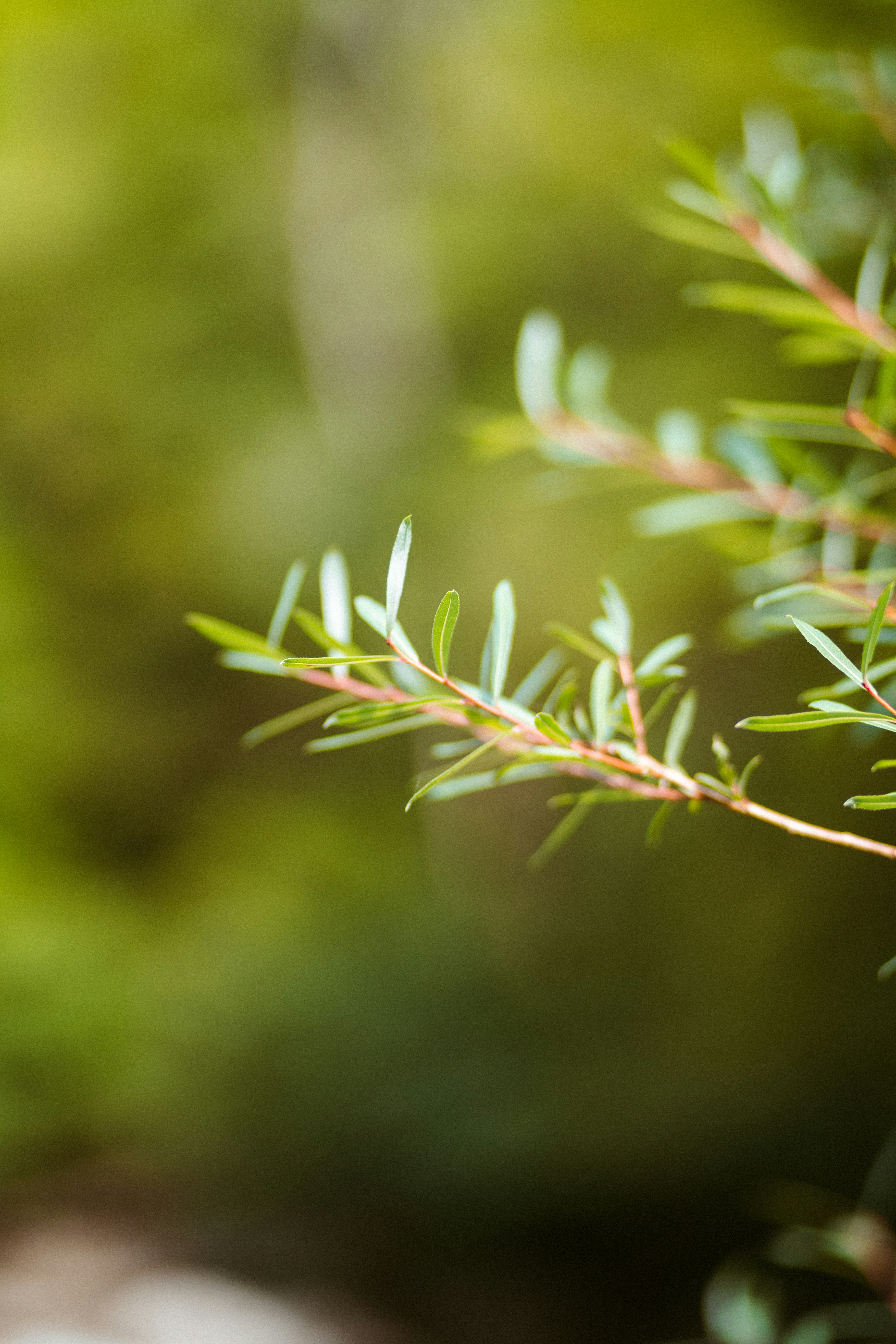 Photo by brunovdkraan