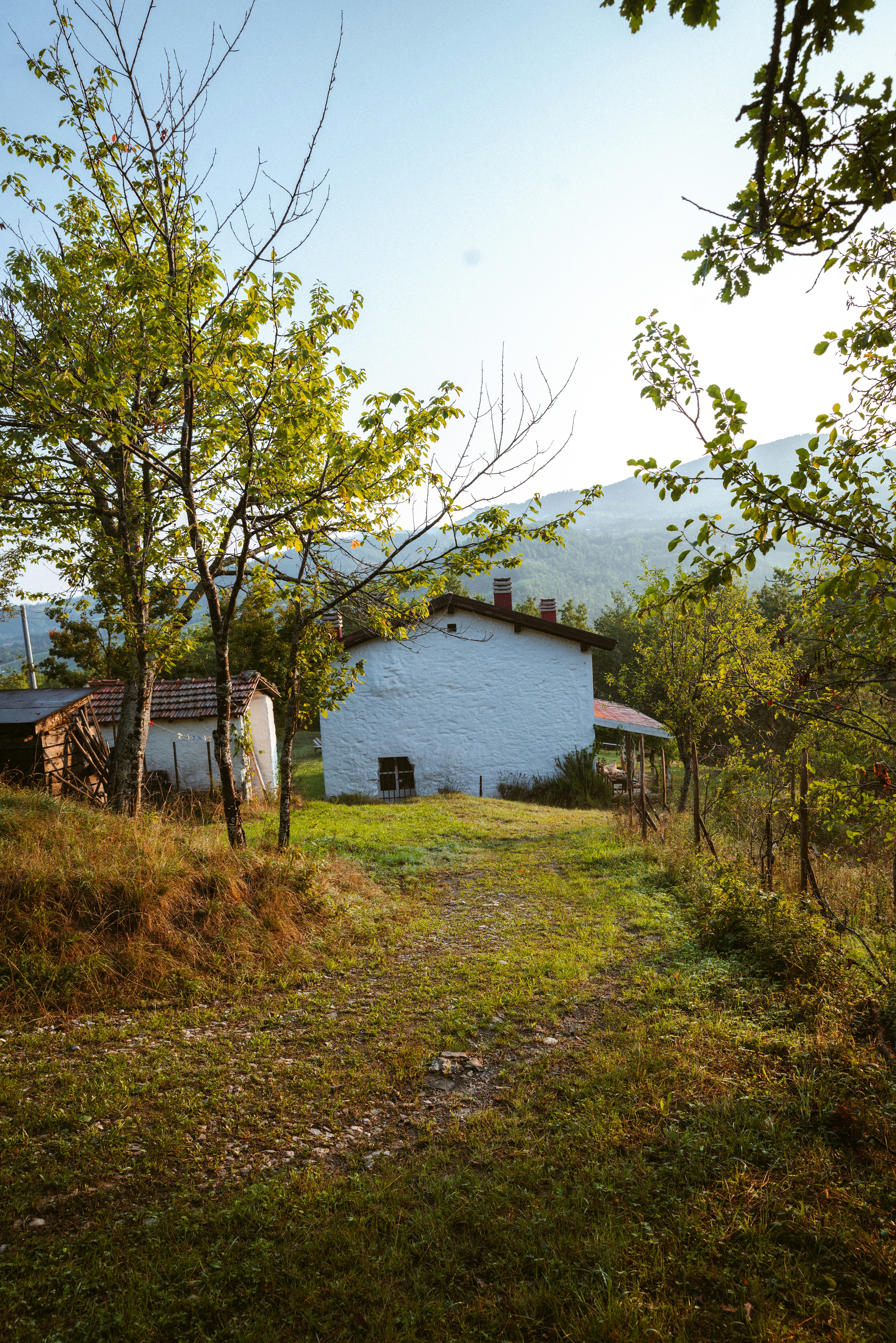 Photo by brunovdkraan