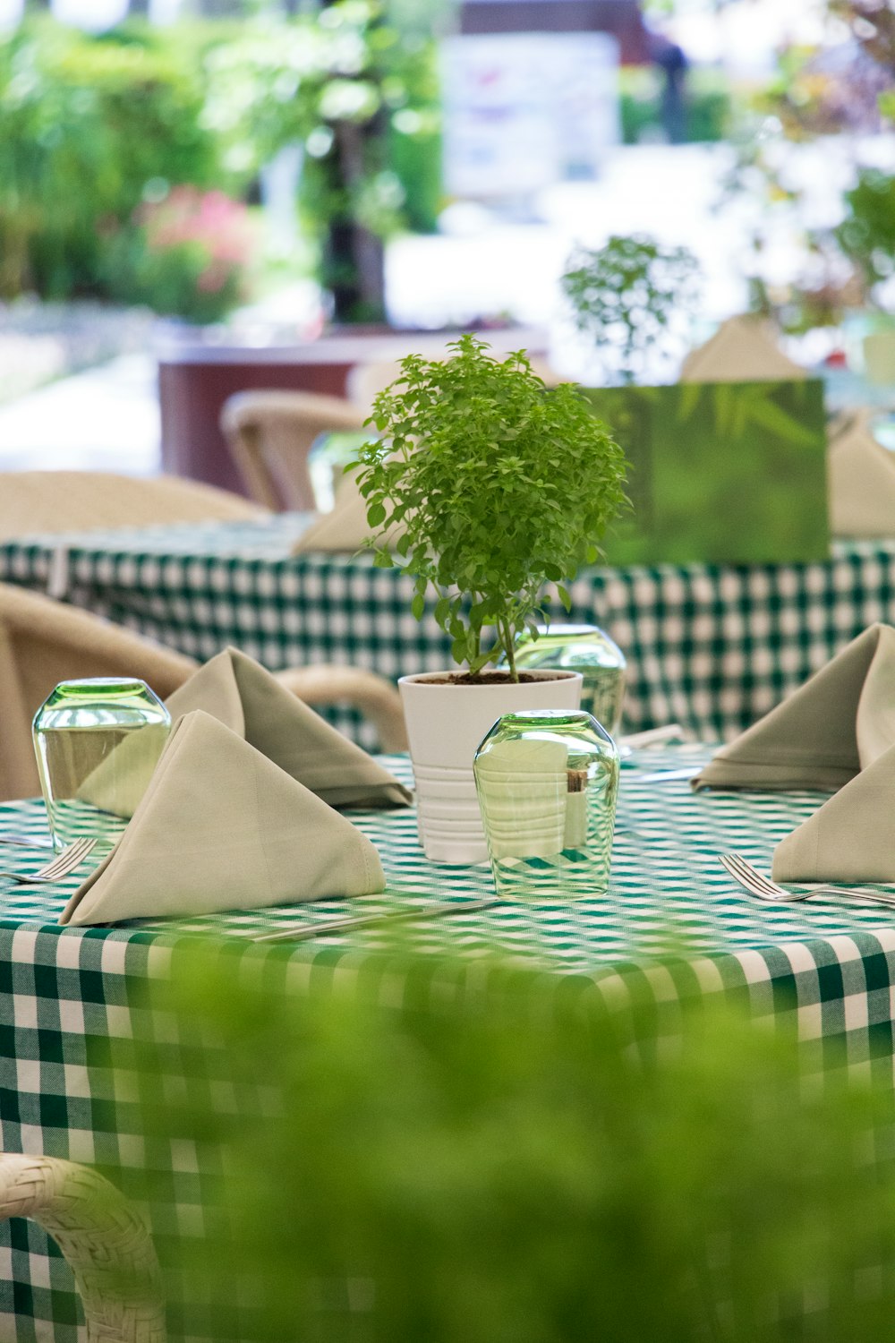 a green and white checkered table cloth with a potted plant