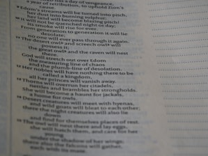 The image displays a close-up view of a page containing text, possibly from a religious or literary book. The text is arranged in verses and includes words like 'Edom's streams', 'desert owl', and 'thorns'. The text appears to have a poetic structure, with lines aligned and some parts featuring indented formatting.