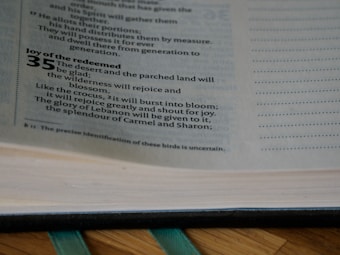 An open page from a book displays some text written in English. The text appears to be from a chapter of a religious or spiritual book, possibly a Bible or similar tome. The passage includes a heading 'Joy of the redeemed' and a number 35 in bold font. A ribbon bookmark is visible at the bottom.