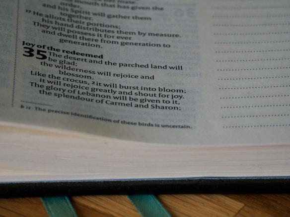 An open page from a book displays some text written in English. The text appears to be from a chapter of a religious or spiritual book, possibly a Bible or similar tome. The passage includes a heading 'Joy of the redeemed' and a number 35 in bold font. A ribbon bookmark is visible at the bottom.