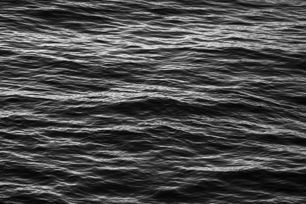 a black and white photo of a body of water