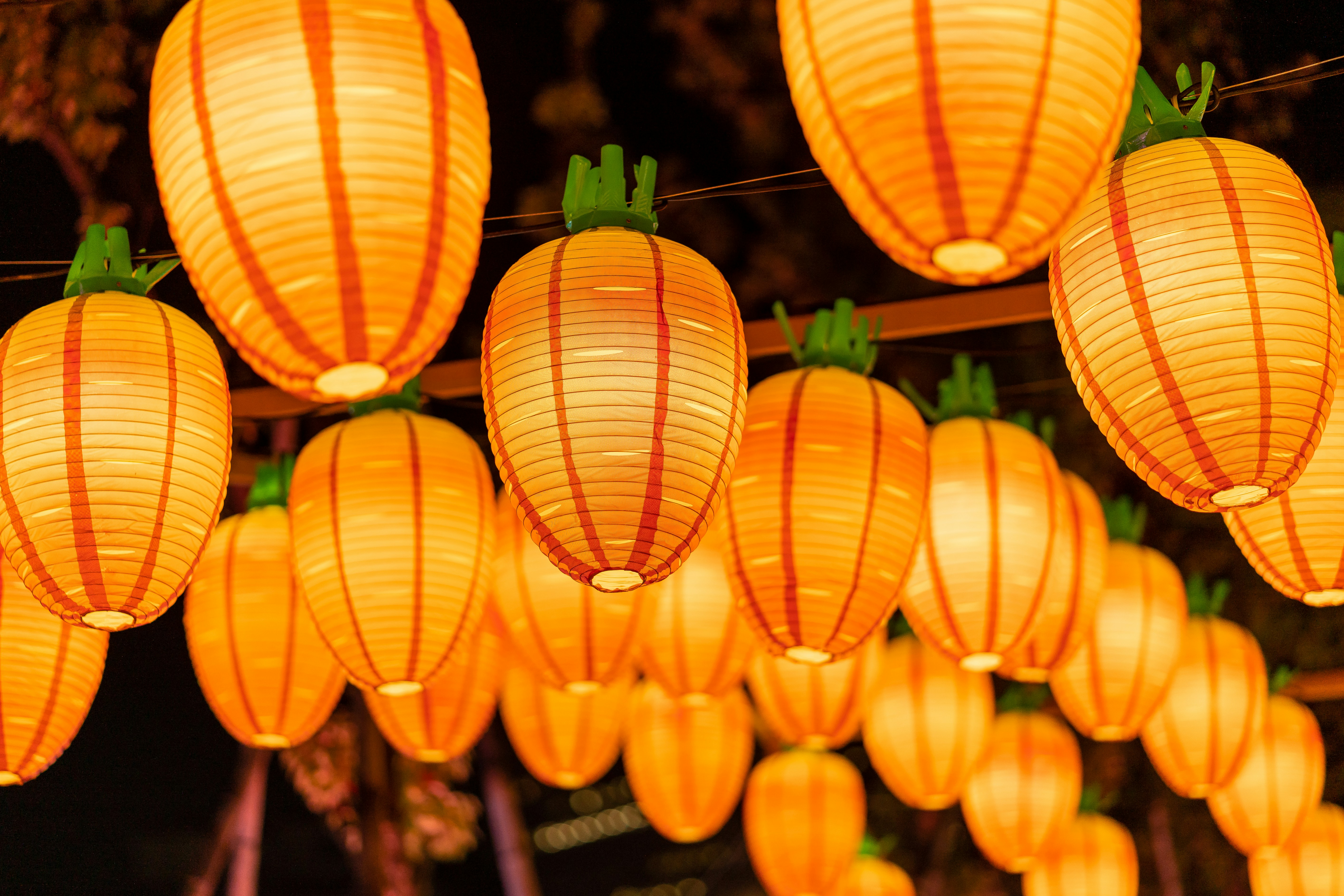 Photo by winstonchen