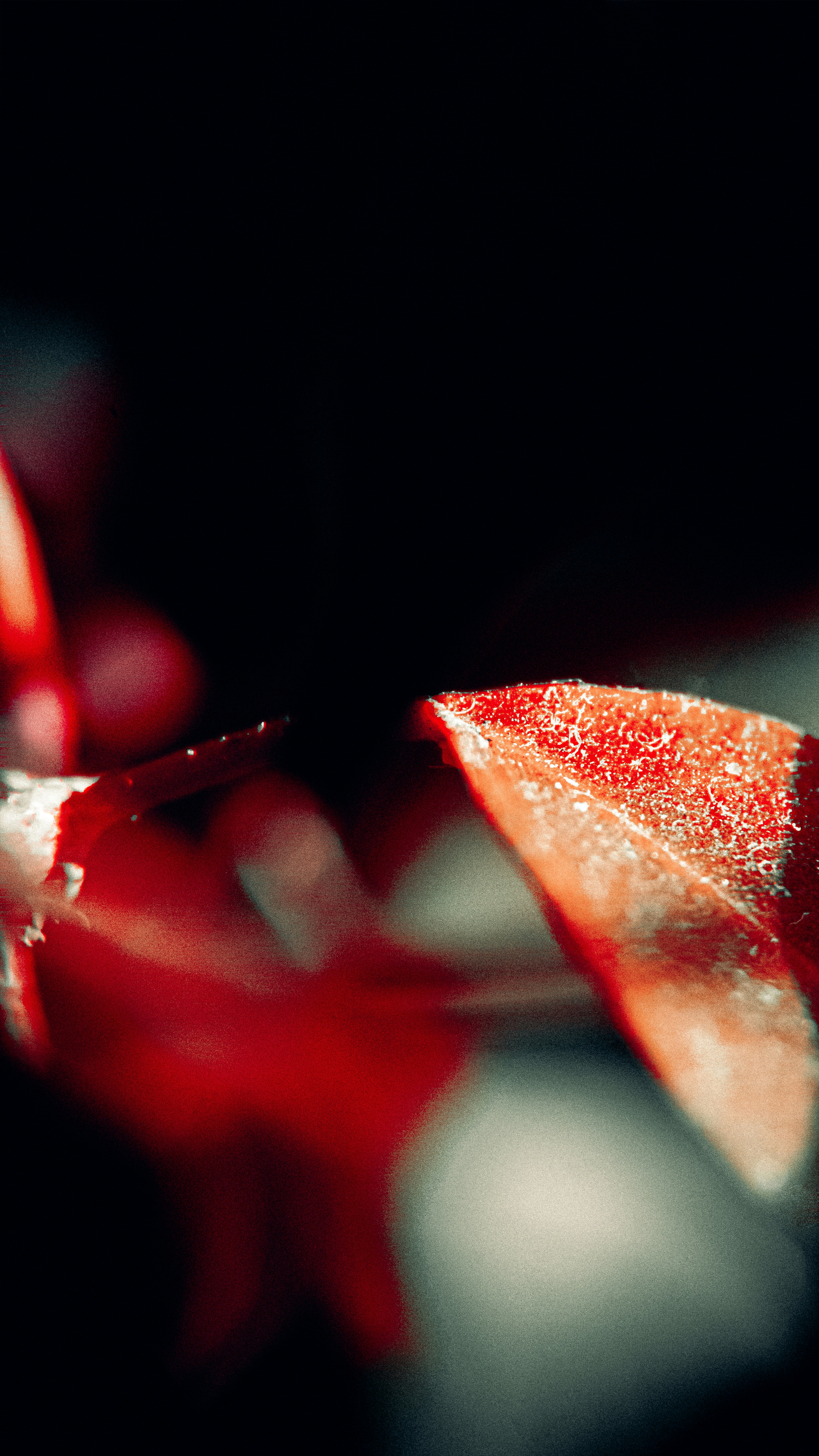 Photo by impermanent