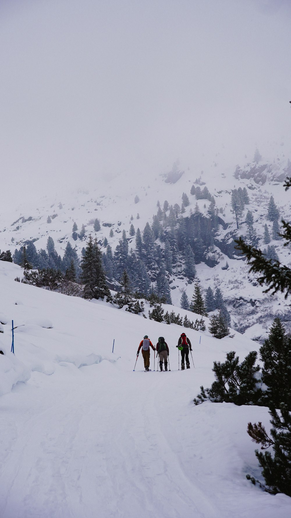 a group of people riding skis down a snow covered slope