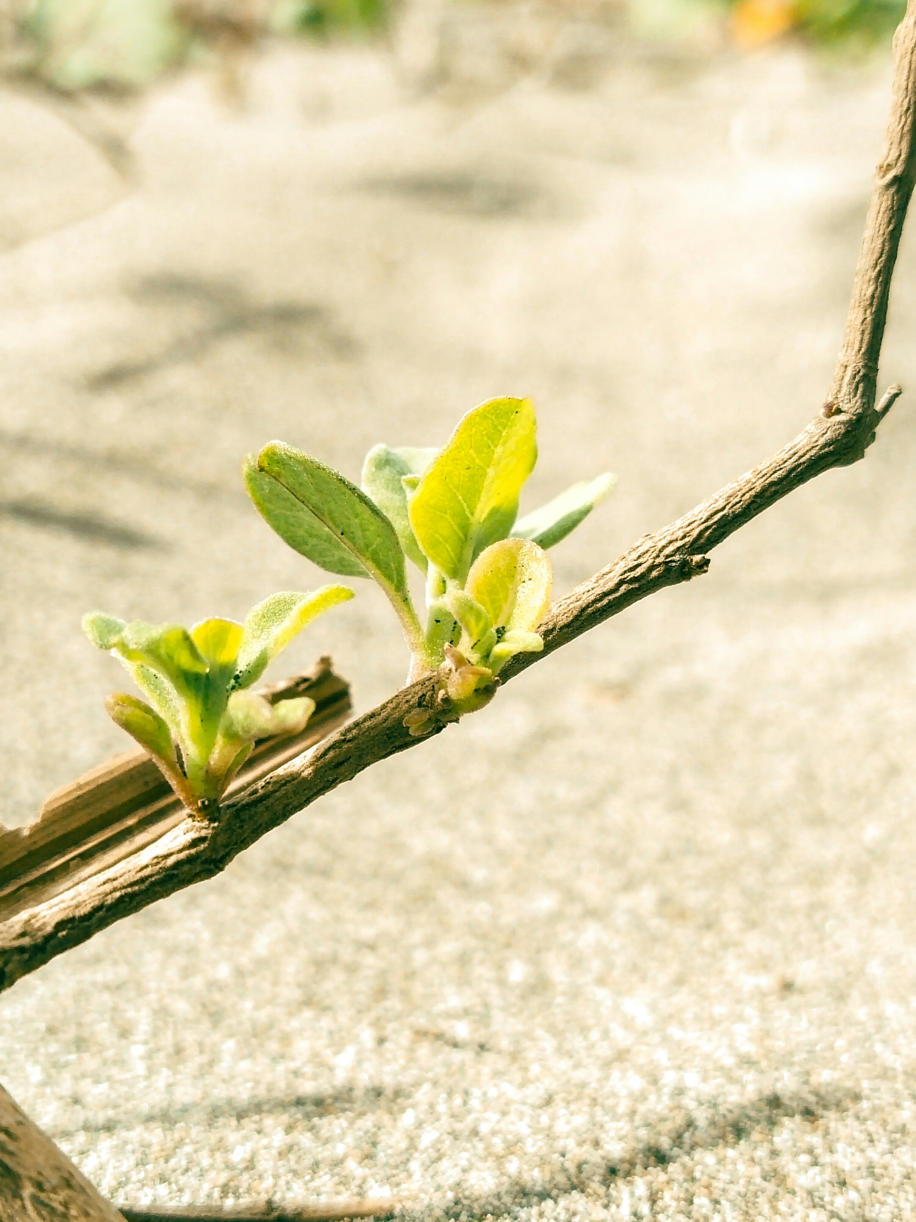 Photo by crea_tenew7