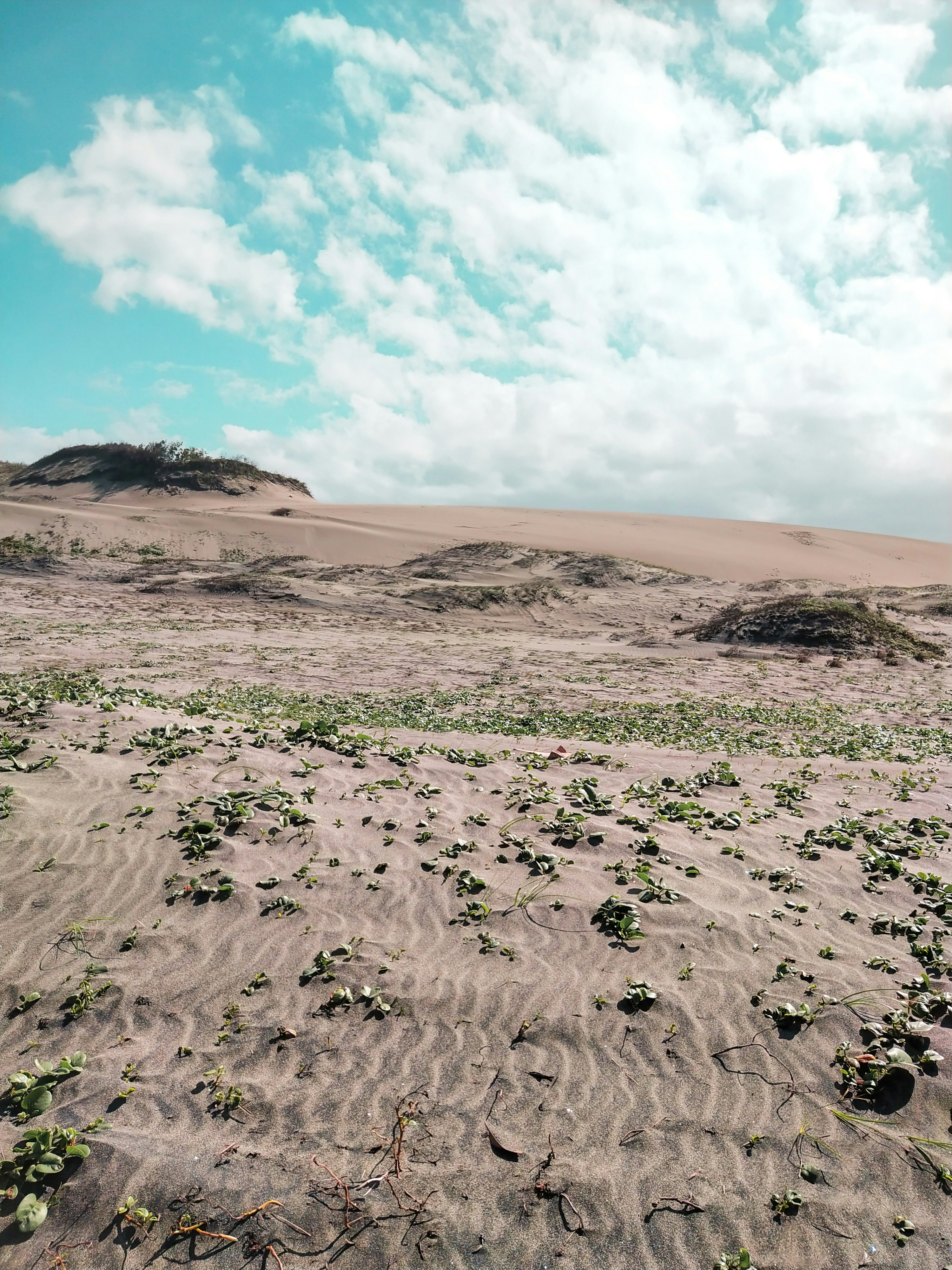 Photo by crea_tenew7