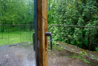 a door handle on a wooden door in a wooded area