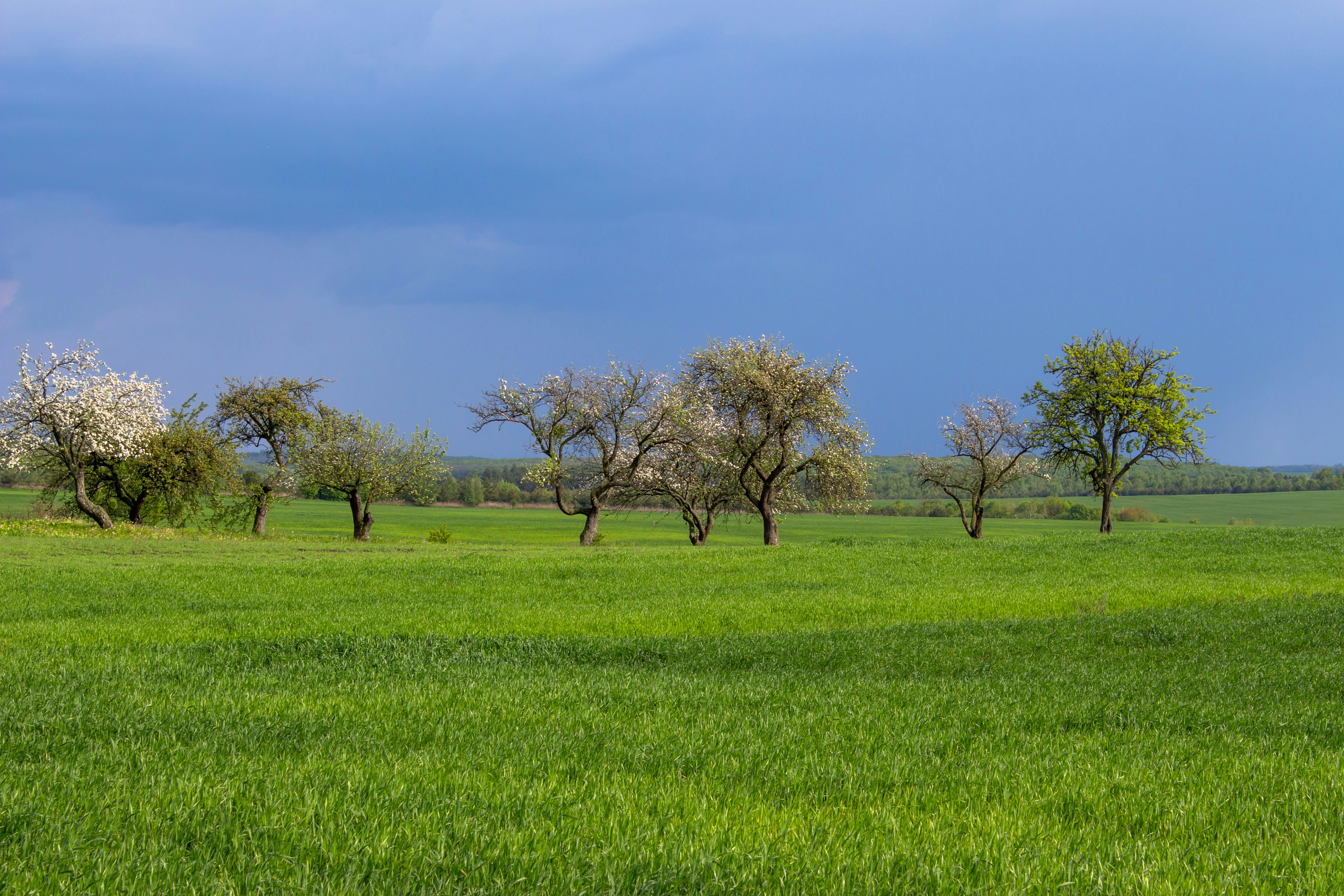 Photo by viktorsmoliak