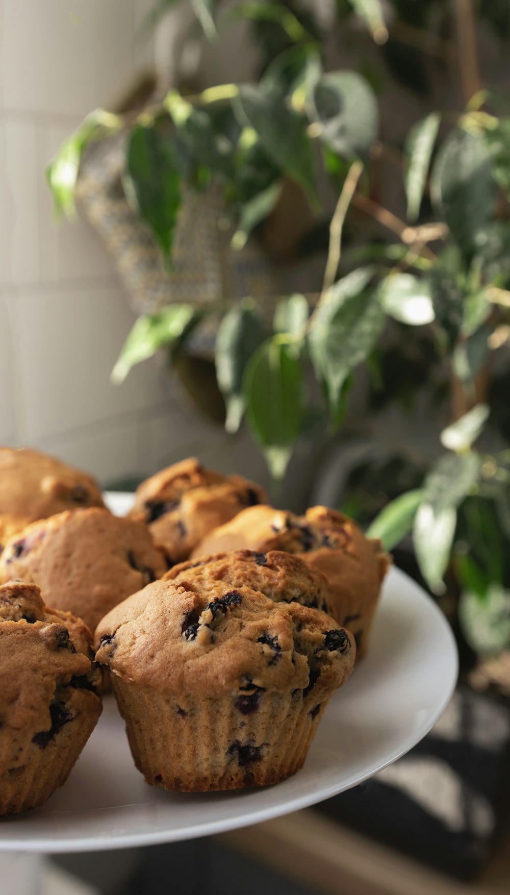 a white plate topped with muffins next to a potted plant