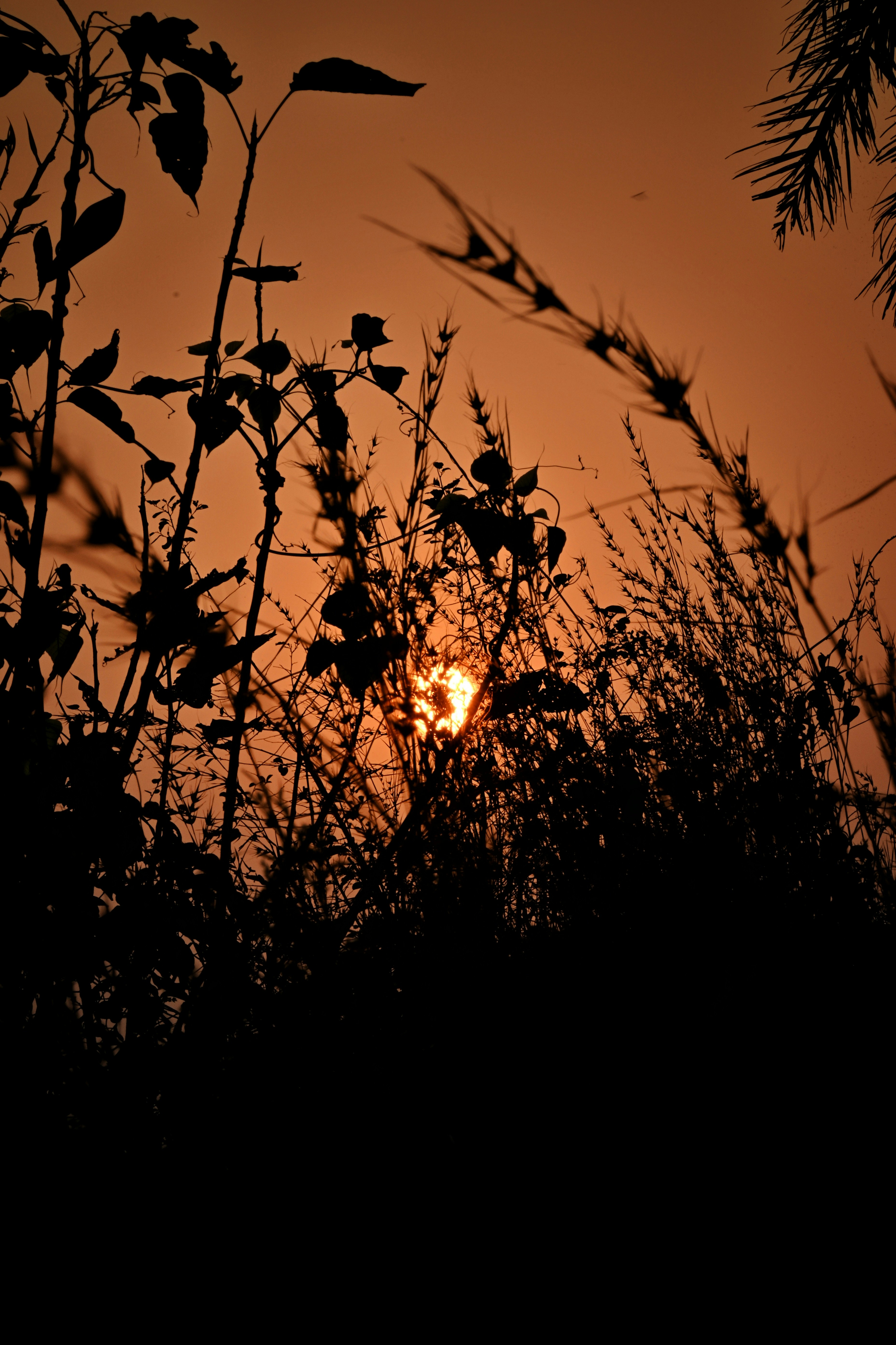 Photo by marshall08