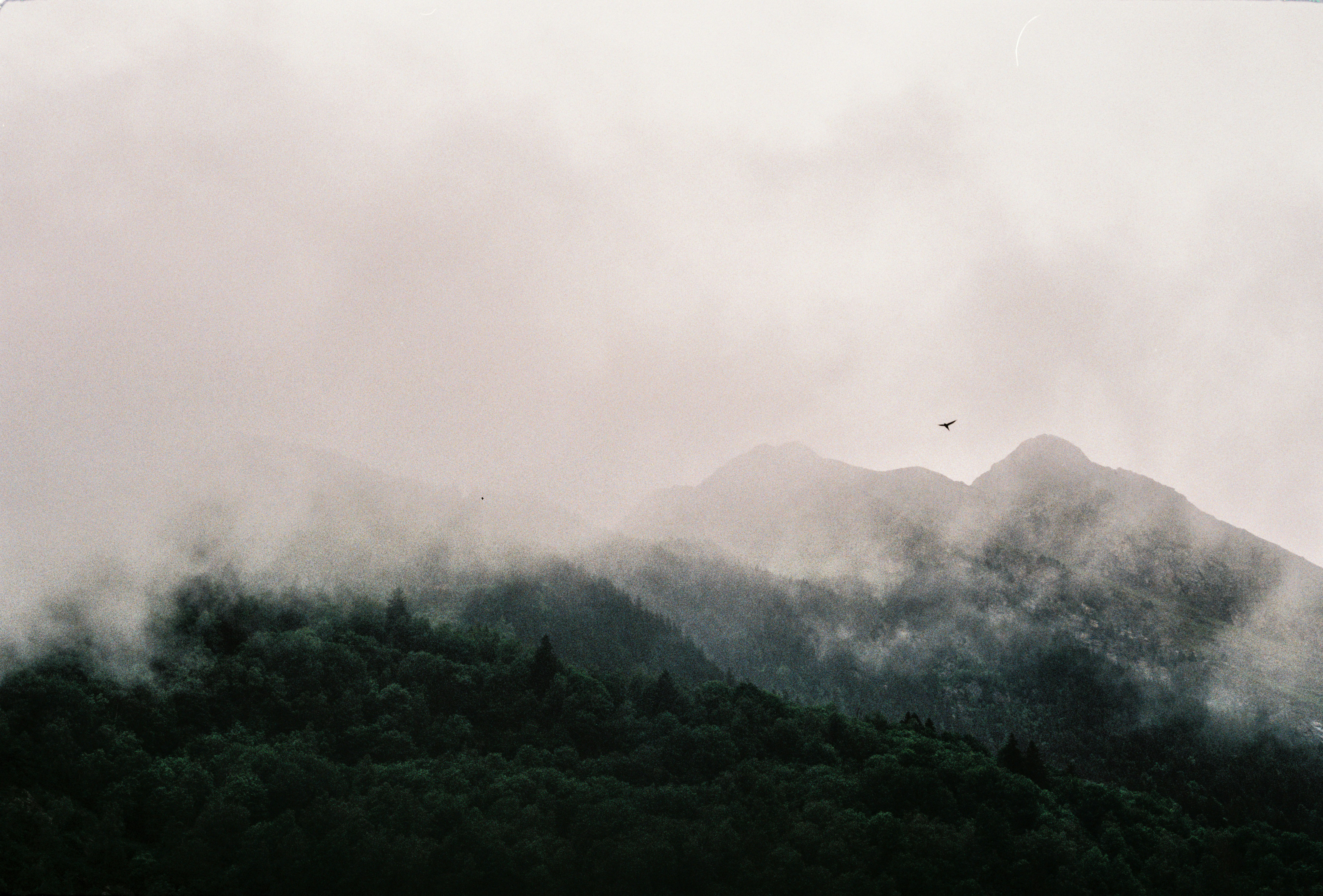 Photo by paulhenrysimon