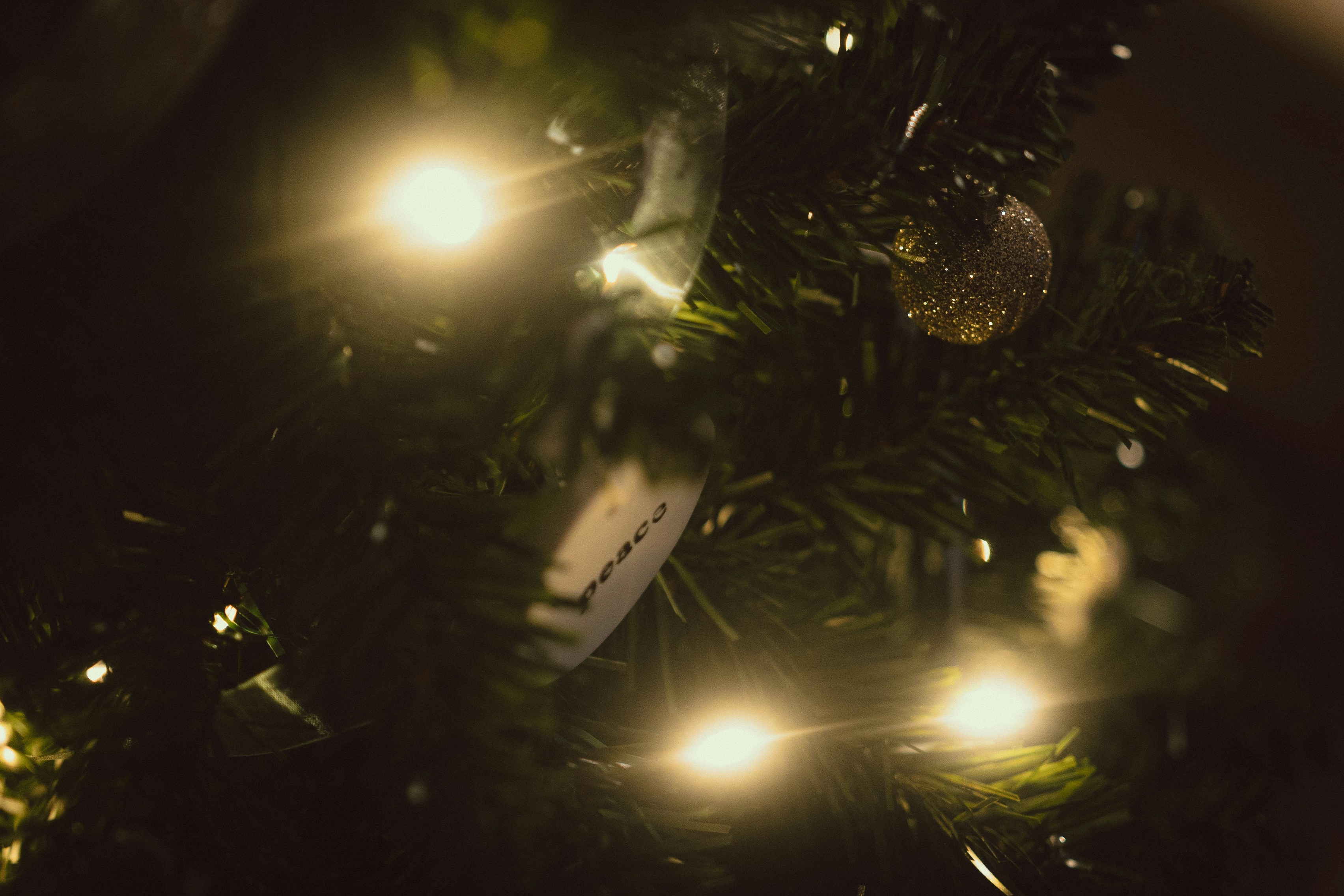 Photo by rennielachlan