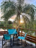 A wooden deck features two blue chairs and a matching blue loveseat around a small black table. A large palm tree stands prominently in the background, with sunlight peeking through the fronds. A calm body of water is visible beyond the wooden railing, surrounded by lush greenery.