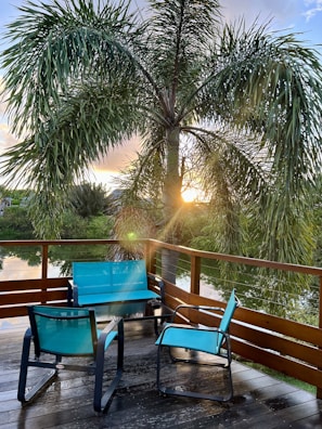 A wooden deck features two blue chairs and a matching blue loveseat around a small black table. A large palm tree stands prominently in the background, with sunlight peeking through the fronds. A calm body of water is visible beyond the wooden railing, surrounded by lush greenery.