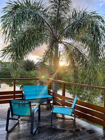 A wooden deck features two blue chairs and a matching blue loveseat around a small black table. A large palm tree stands prominently in the background, with sunlight peeking through the fronds. A calm body of water is visible beyond the wooden railing, surrounded by lush greenery.