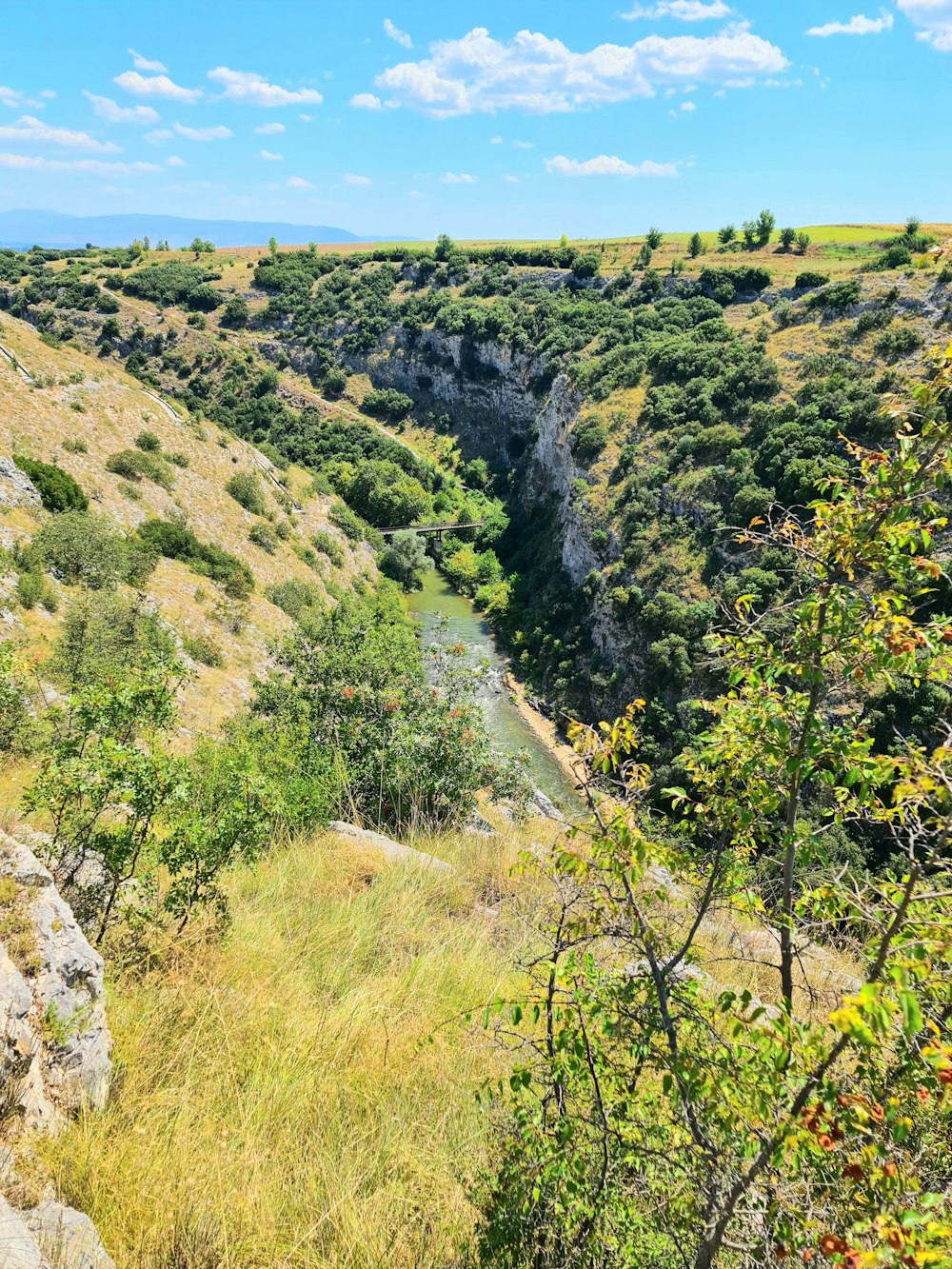 a view of a canyon with a river running through it