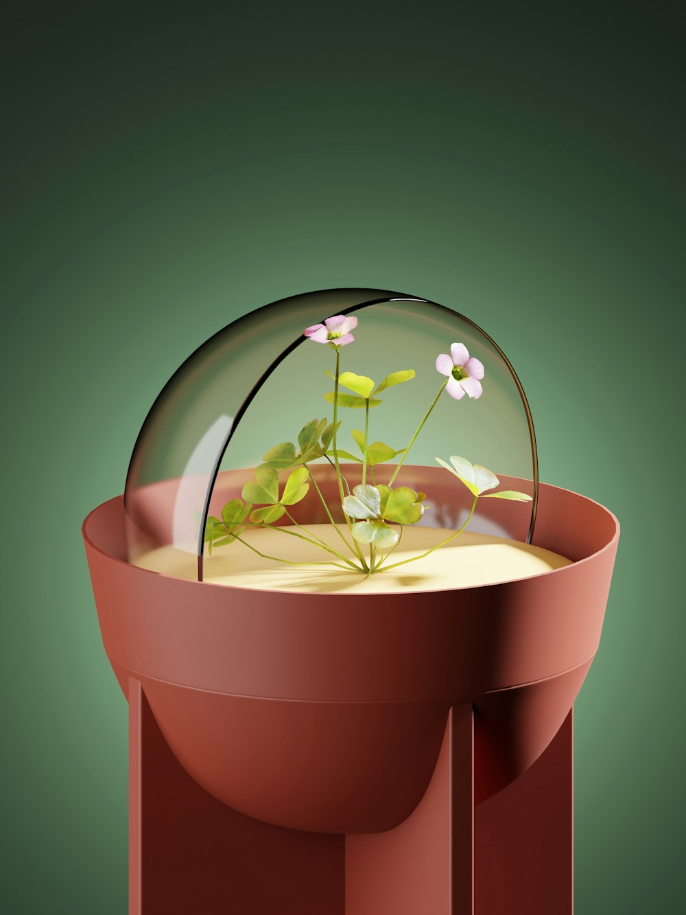 a potted plant with a glass dome on top of it