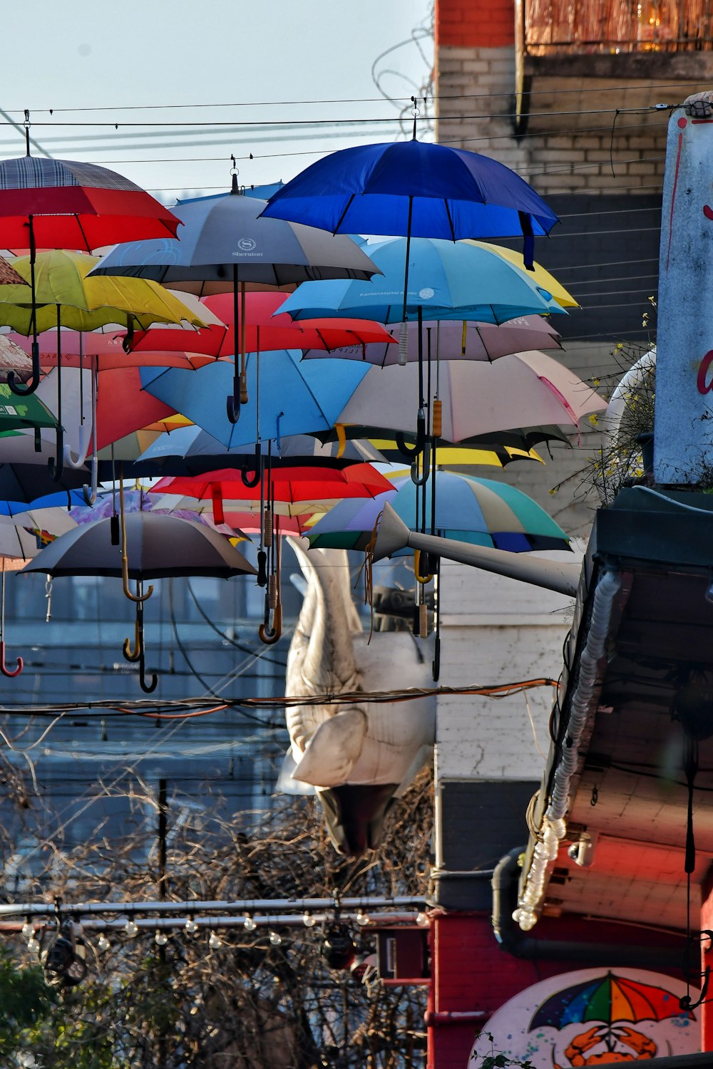 a bunch of colorful umbrellas hanging from the side of a building