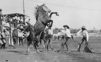 Team members collaborating to solve a challenge involving horse interaction.