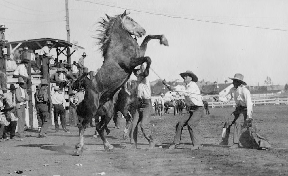 a group of men riding on the back of horses