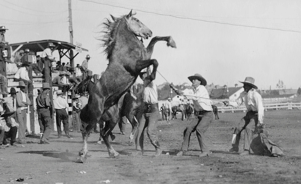 Utah rodeo