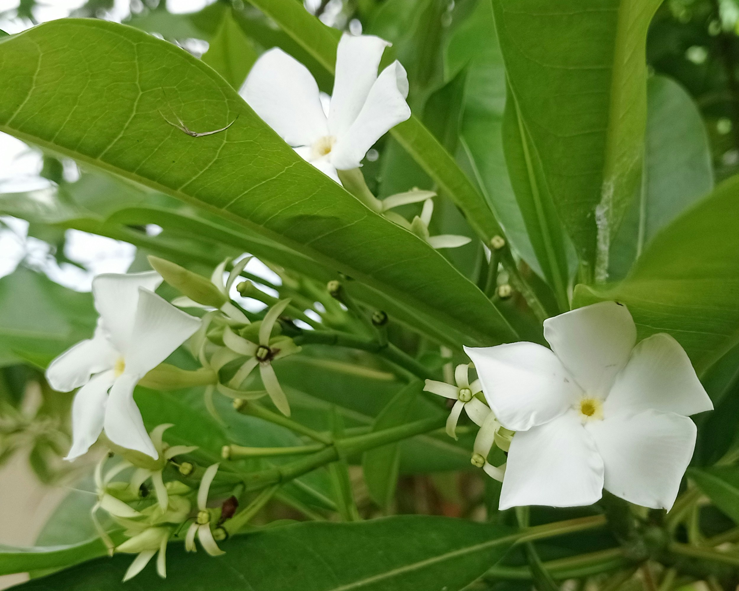 Photo by arkan_maker