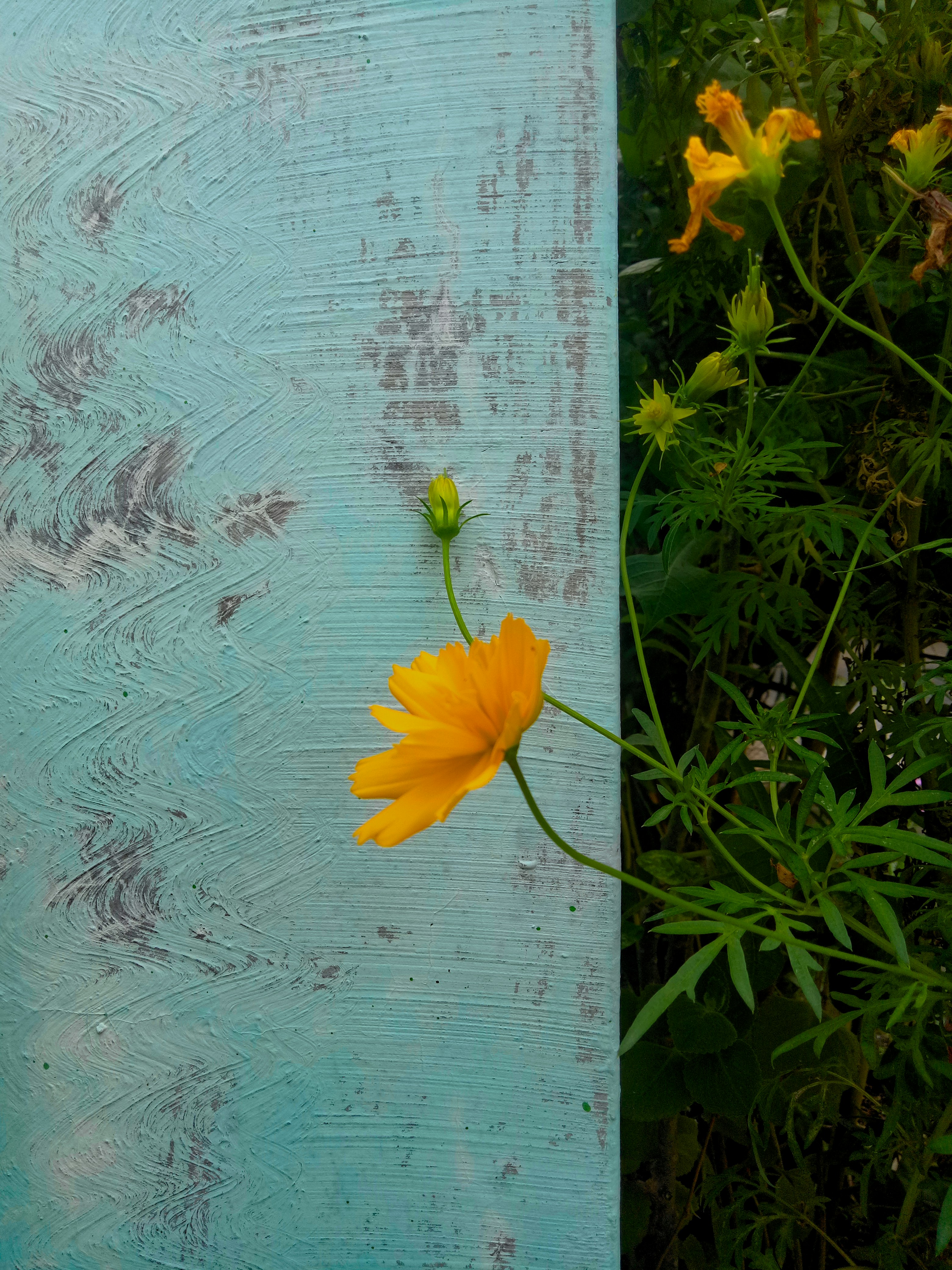 a yellow flower sitting on top of a wooden board
