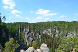 photo 1676035917758 a361c2e23f90?q=85&w=275&h=275&fit=crop