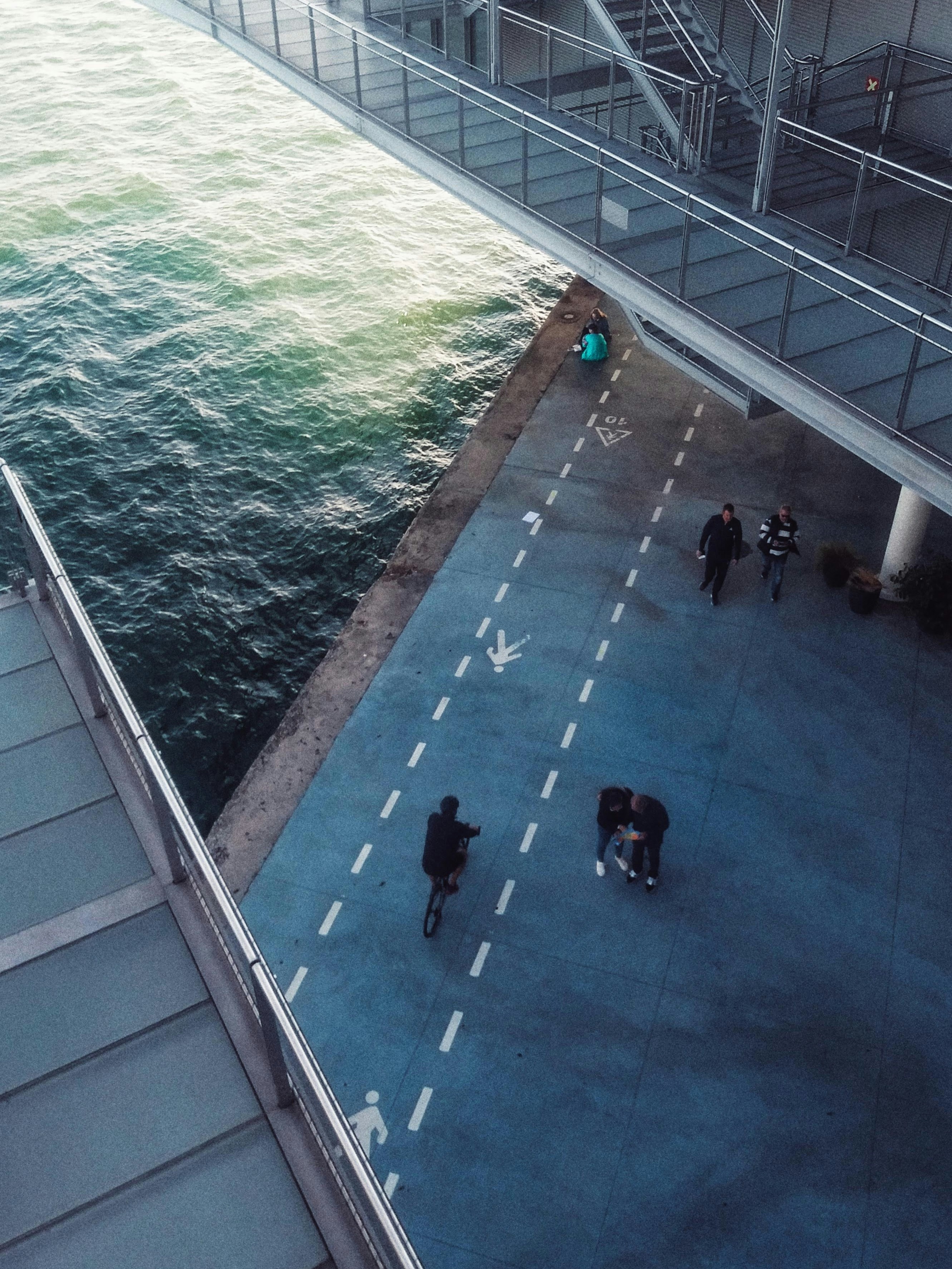 The Best Cardio for Joint Health: Walking, Cycling, or Swimming?