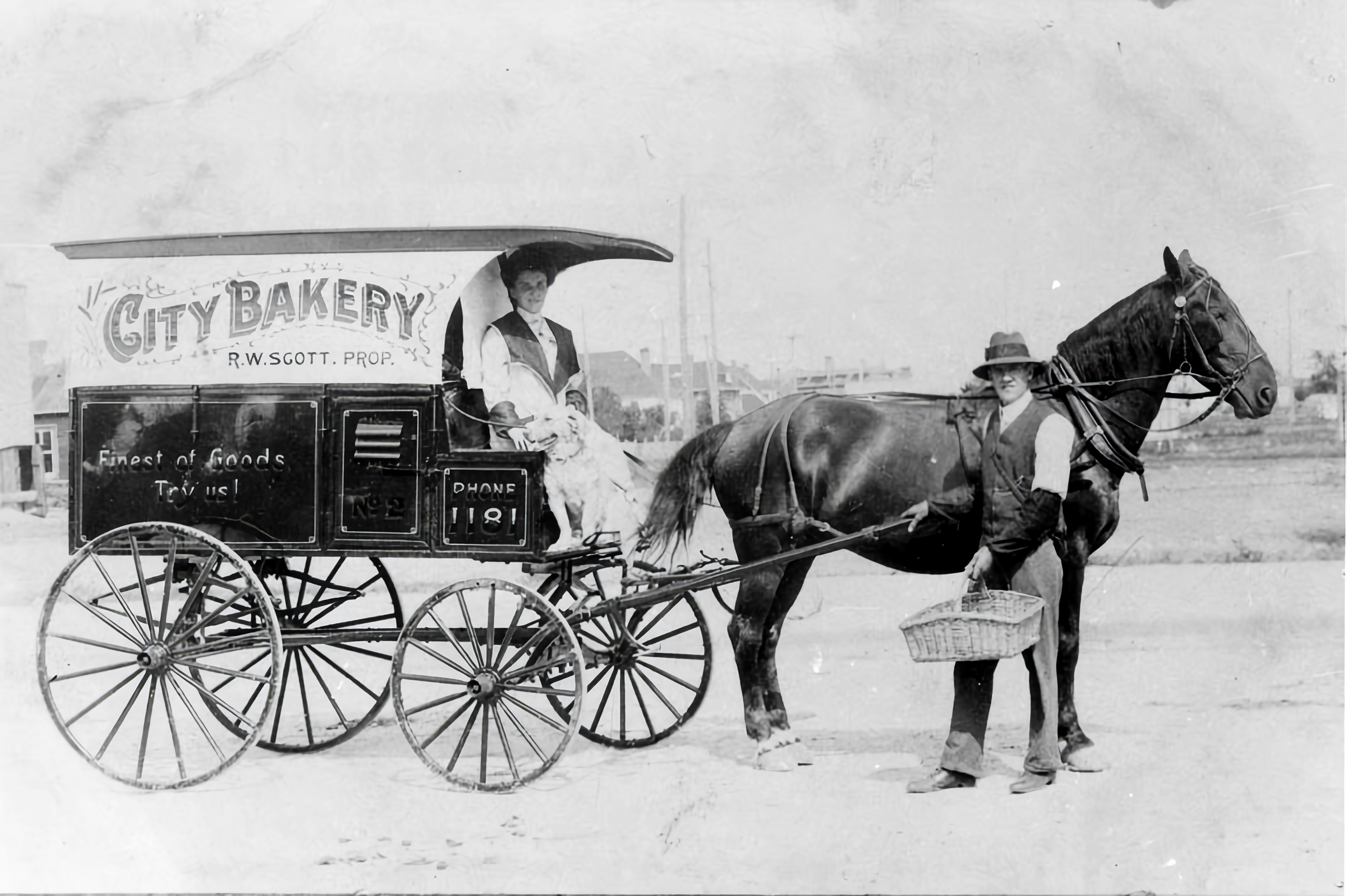 an old photo of a woman sitting on a horse drawn carriage