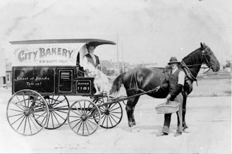 an old photo of a woman sitting on a horse drawn carriage