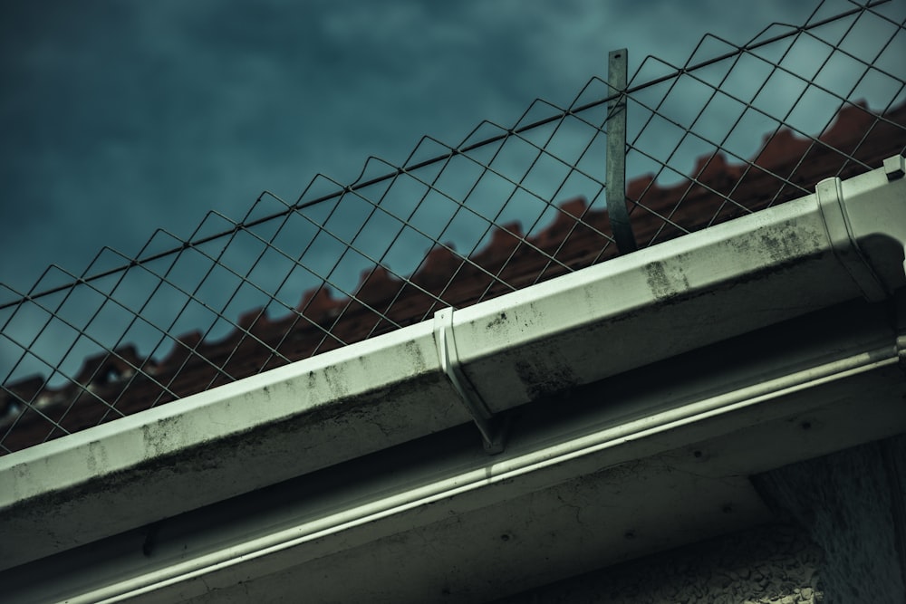 a bird sitting on top of a metal fence