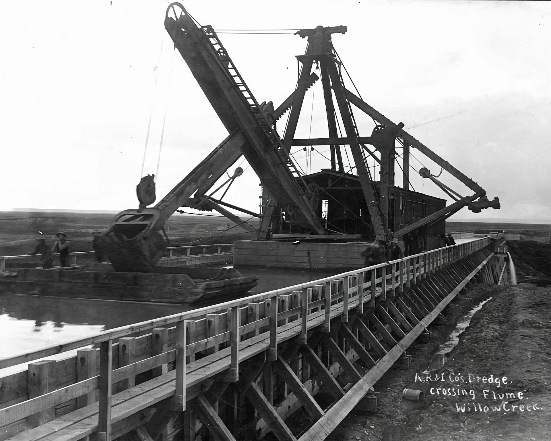 woman wearing yellow long-sleeved dress under white clouds and blue sky during daytime