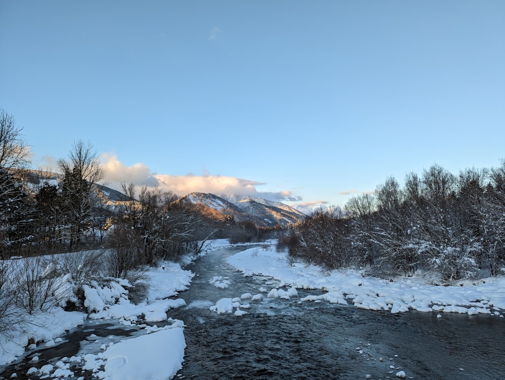 a river running through a snow covered forest