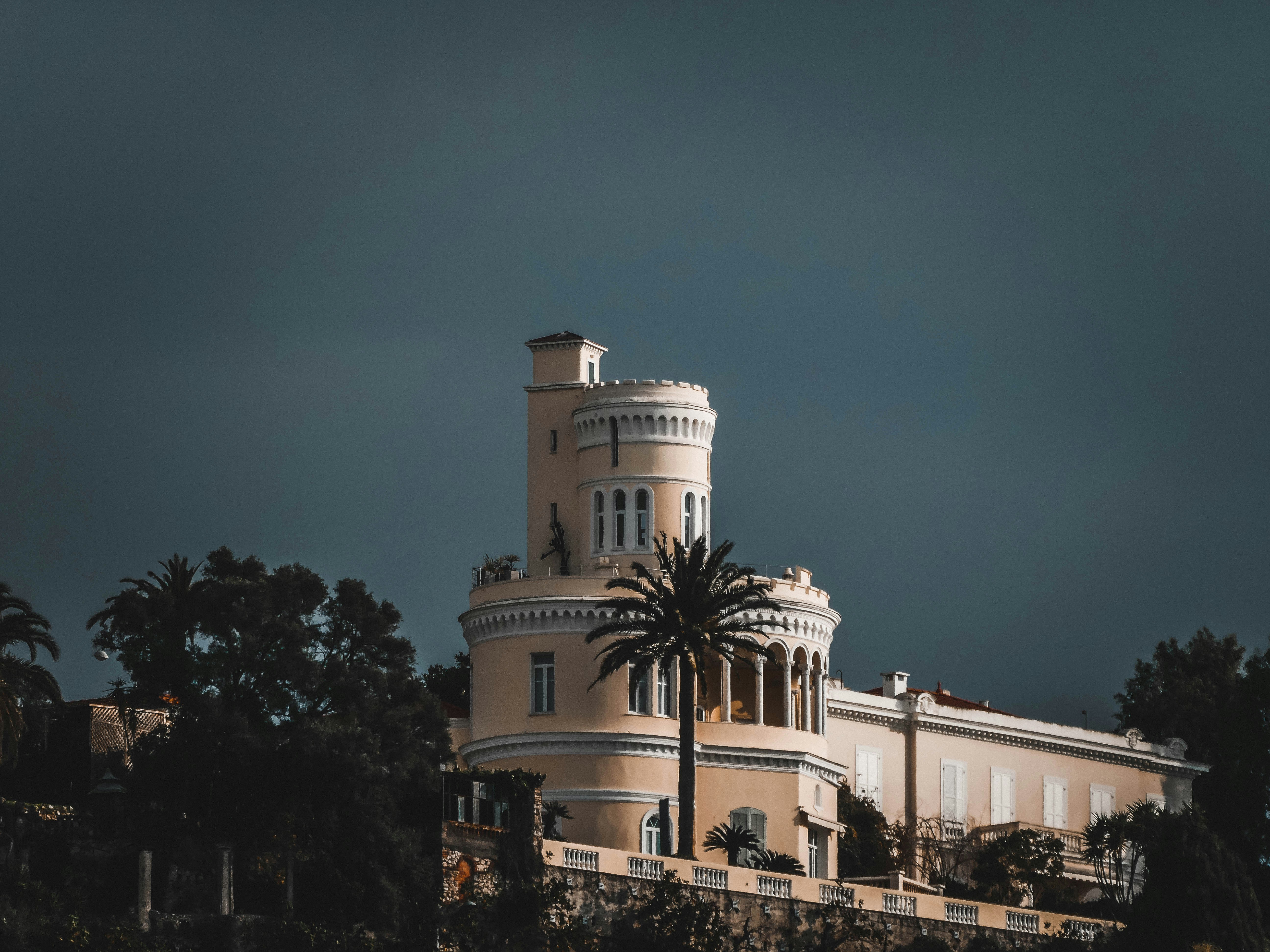 a large white building with a palm tree in front of it