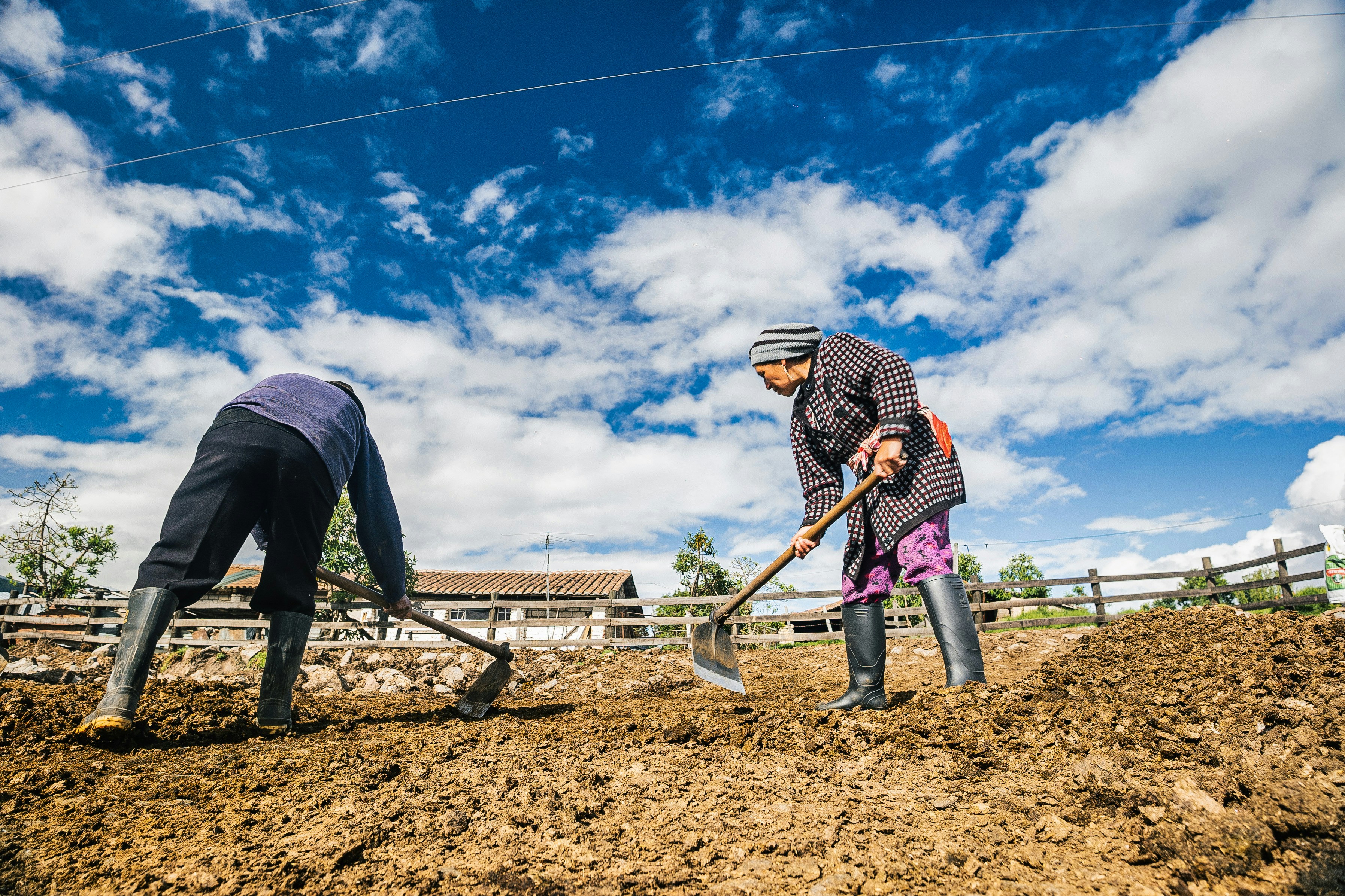 Photo by kiyoshi_jpg