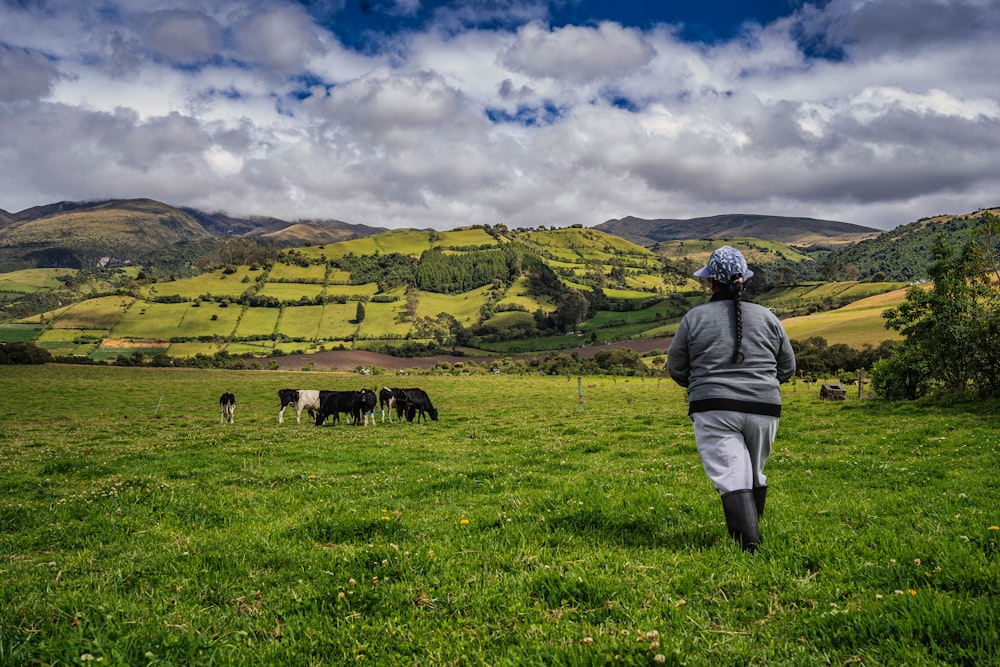 a person walking in a field with cows