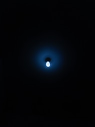 A focused creator working late with blue ambient lighting and minimalist decor.