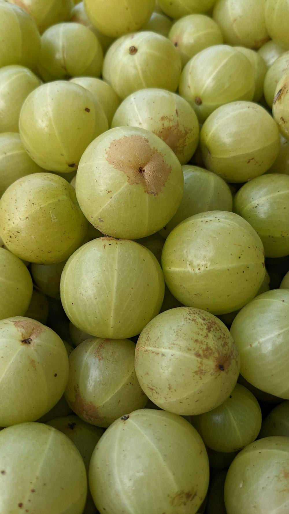 a pile of green grapes sitting next to each other