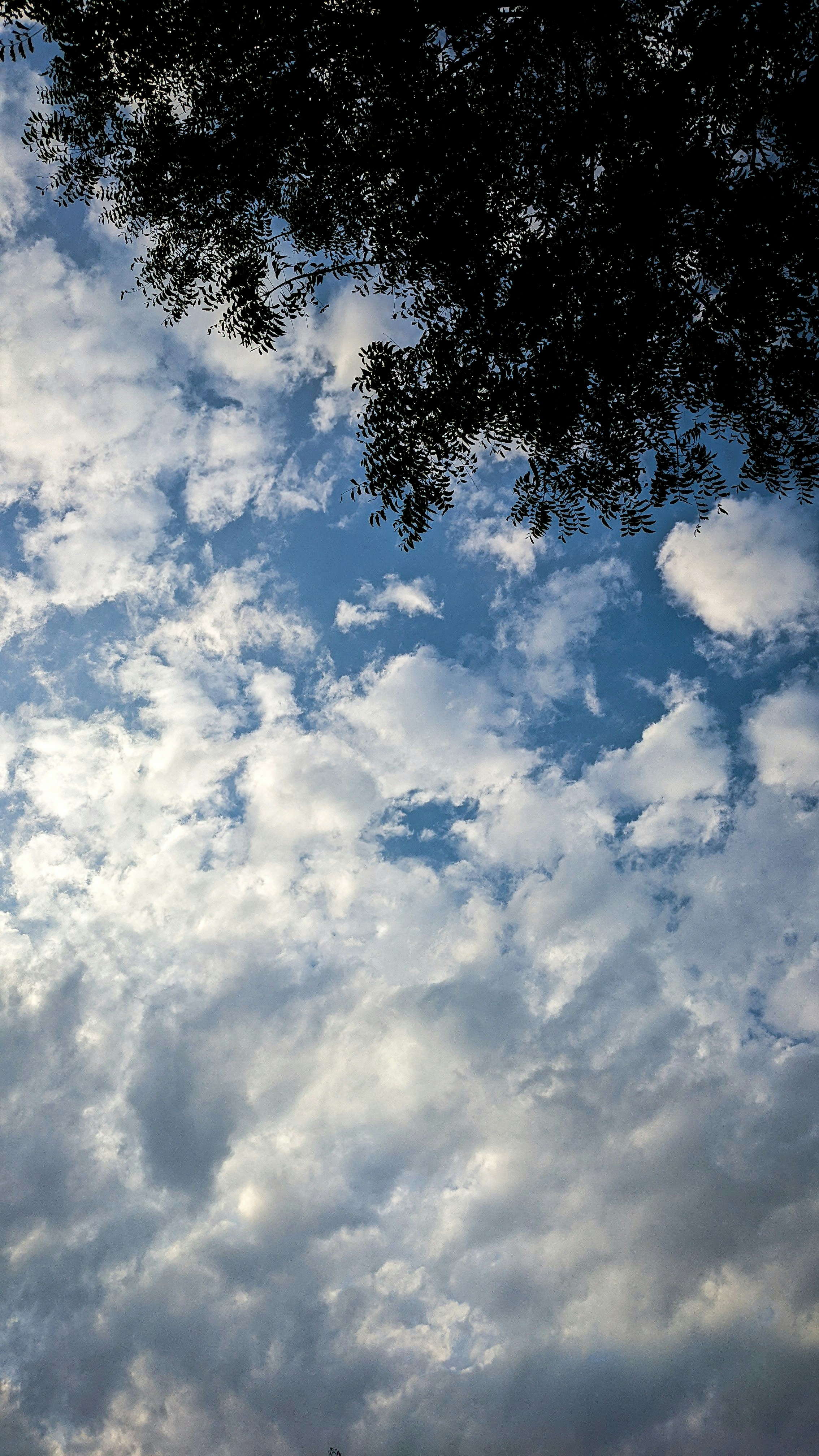 a plane flying through a cloudy blue sky