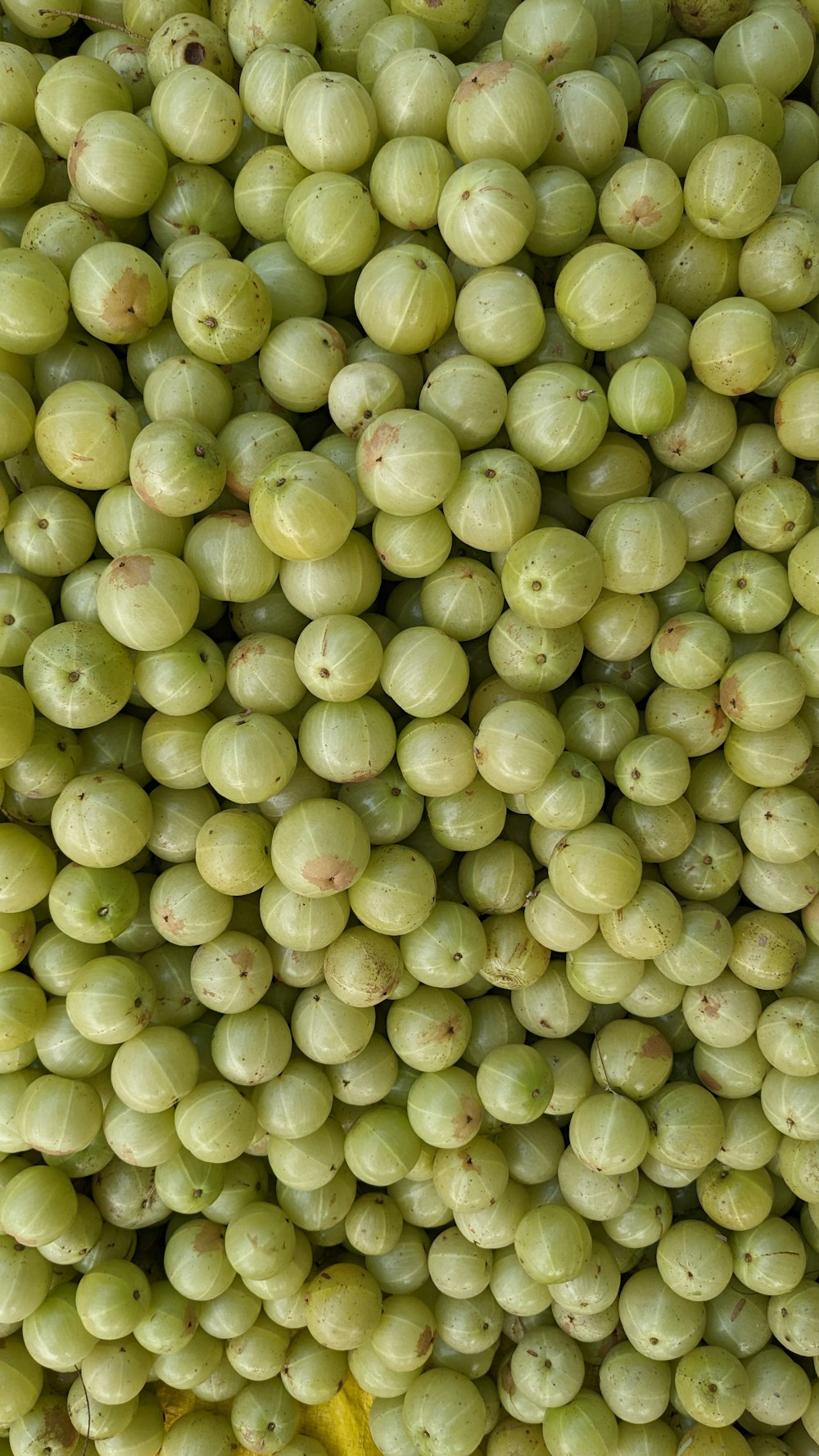 a bunch of grapes are stacked on top of each other