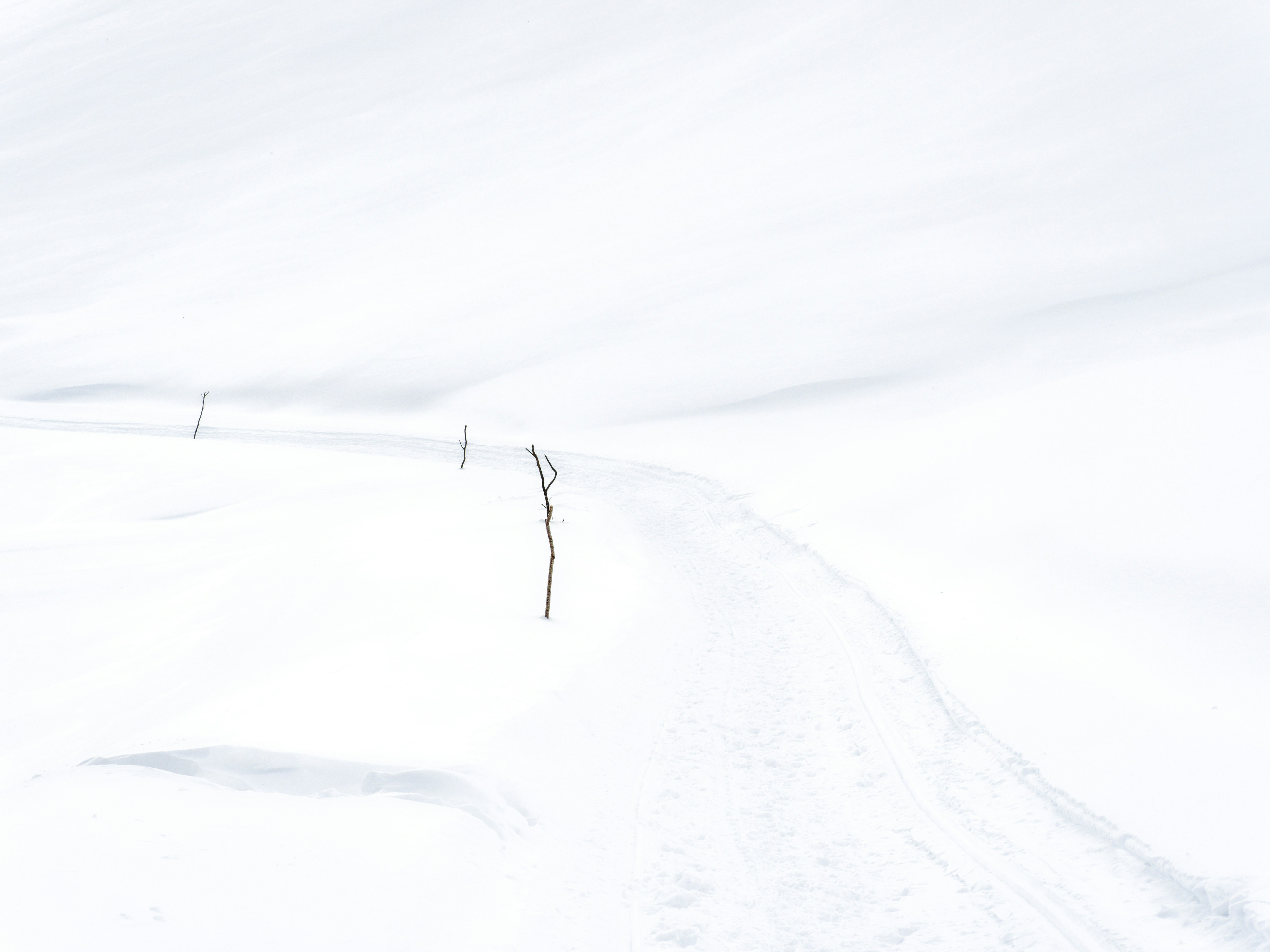 Photo by illes_cristi