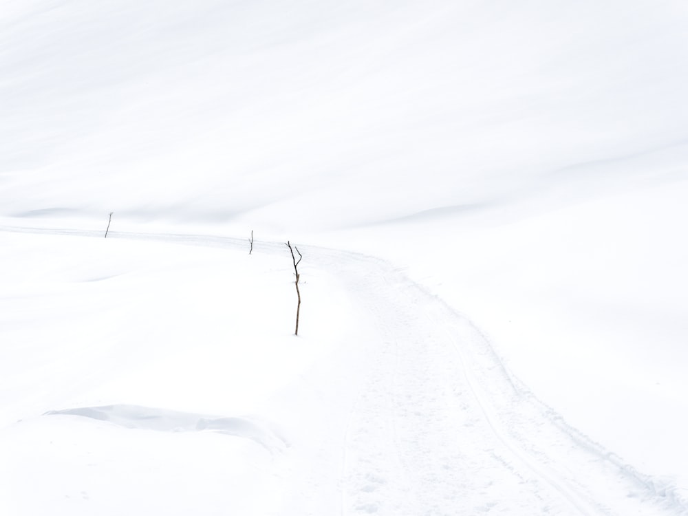 a man riding skis down a snow covered slope