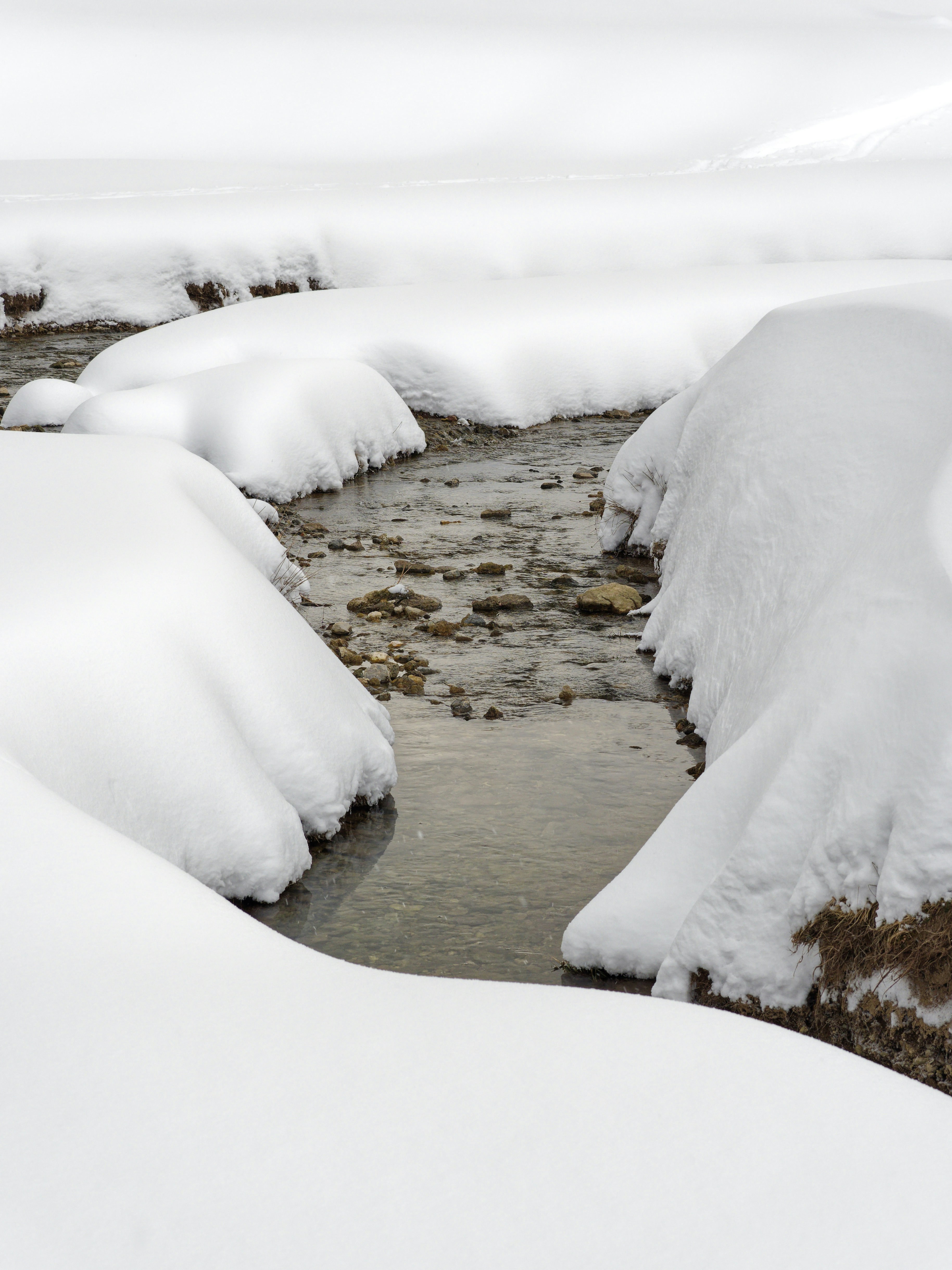 Photo by illes_cristi