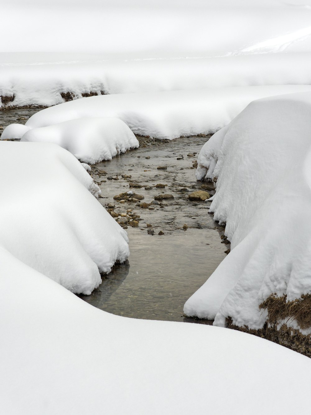 a stream running through a snow covered forest